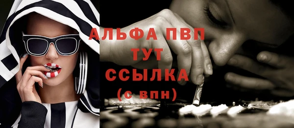 дурь Пересвет