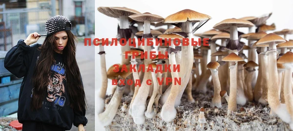 винт Переславль-Залесский