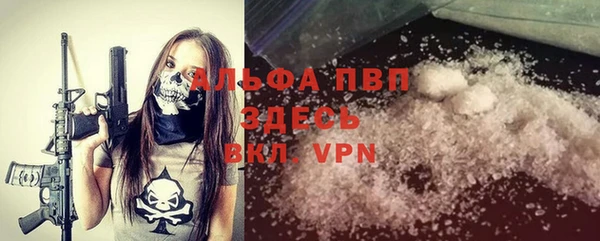 дурь Пересвет