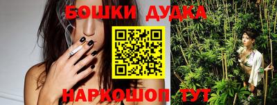 spice Дубна