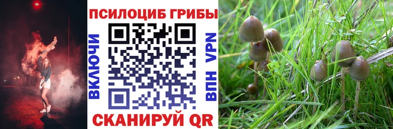 omg зеркало  Балтийск  Псилоцибиновые грибы мухоморы 