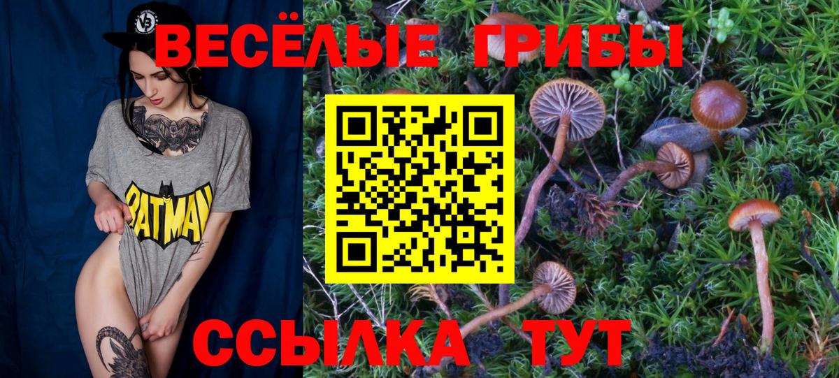 Псилоцибиновые грибы ЛСД Балтийск