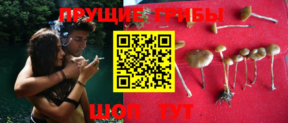 Галлюциногенные грибы MAGIC MUSHROOMS  Вход с VPN  Балтийск  Галлюциногенные грибы мицелий 